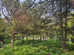 -太阳宫公园