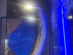 -质烤烤物·活烤海鲜(质烤总店)