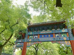-北京国子监胡同