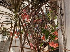 -Mark&Mars Restaurant