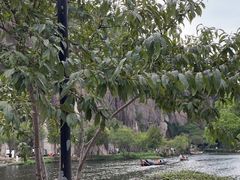 -绍兴东湖风景区
