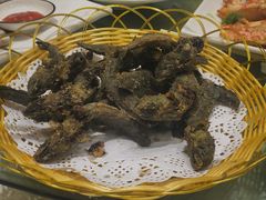 -驻海渔市(置信店)