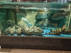 -聚福宝合苑食府(南头镇店)