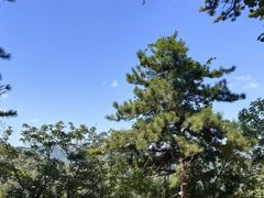 -大芦花风景区
