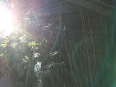 -茅盾纪念堂