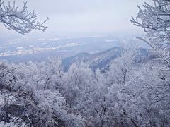 -紫金山山顶公园
