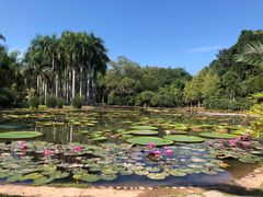 -中国科学院西双版纳热带植物园