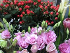 -花草间花行(法华镇路店)