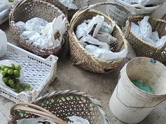 -马陆小张葡萄园农家乐