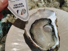 -普朗姆生蚝吧(原建国路店)