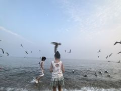 -银沙滩浴场