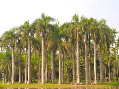 -中国科学院西双版纳热带植物园