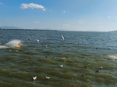 -滇池海埂公园