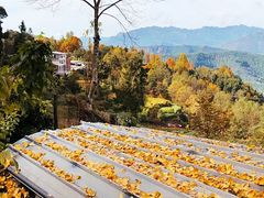 -金堂县云顶石城风景区