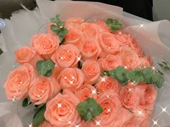 -Dark Horse·黑马蛋糕·低脂·低糖淡奶(金匙望湖大厦店)