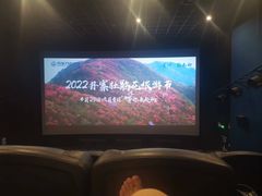 -万达影城(虎门万达广场IMAX店)