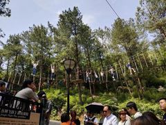 -梦幻奥陶纪景区