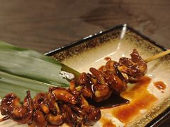 -九州酒场ひこぞう(2号店)