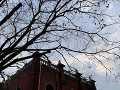 -上海佘山国家森林公园西佘山园