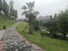 -东岳体育公园