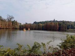 -星湖旅游景区七星岩