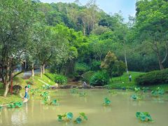 -火炉山森林公园