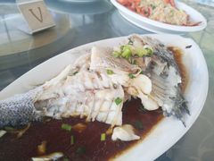 -七鲜渔港美食餐厅(巽寮湾海景店)