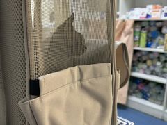 -宠颐生动物医院·心脏科·保险定点(锦阳分院)