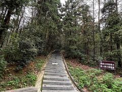 -冶父山国家森林公园
