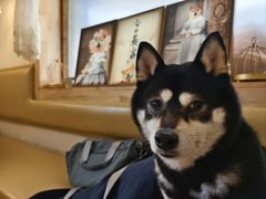 -柴の食堂·日式家庭料理·熊之肆(大学路店)