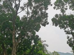 -张钰强中医正骨推拿连锁(唐家人才公寓店)