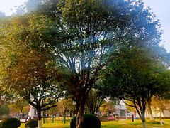 -七宝老街-闵行市民文化广场