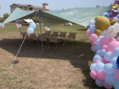 -梅园婚恋·婚姻介绍