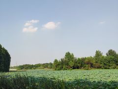 -东湖落雁景区