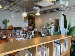 -Cappucimeow猫咪咖啡馆(韦伯时代店)