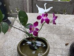-天怡·鱼工厂(梅溪湖店)