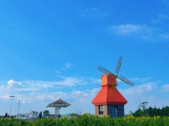 -杭州湾海上花田景区