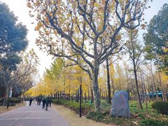 -黄兴公园