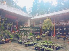 -苍山感通索道