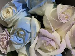 -循礼门鲜花花市(武汉循礼门店)