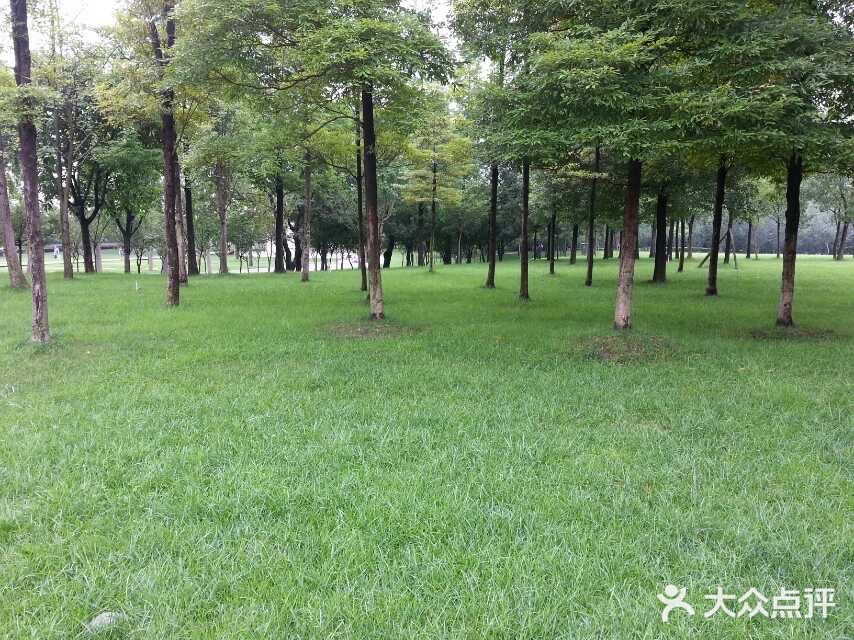 无锡橙V有特权