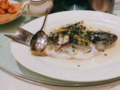 -聚福山莊·寻味顺德(北滘店)