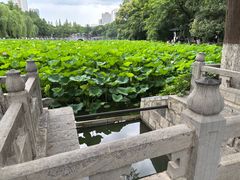 -包公祠