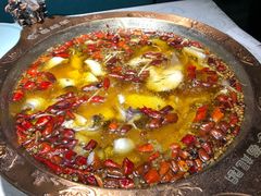 -雲蜀龙阁·金牌水煮鱼(方庄店)