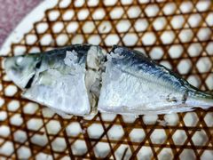 -星奇缘·海鲜餐厅(东山美食地标店)