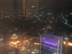 -顶鲜101美食美景餐厅