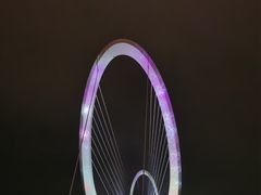 -南京眼步行桥