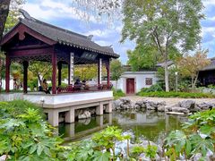 -枫桥景区