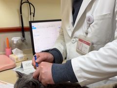 -艾贝尔宠物医院 ·内科全科(梁溪路店)