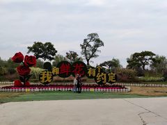 -南通鲜花小镇